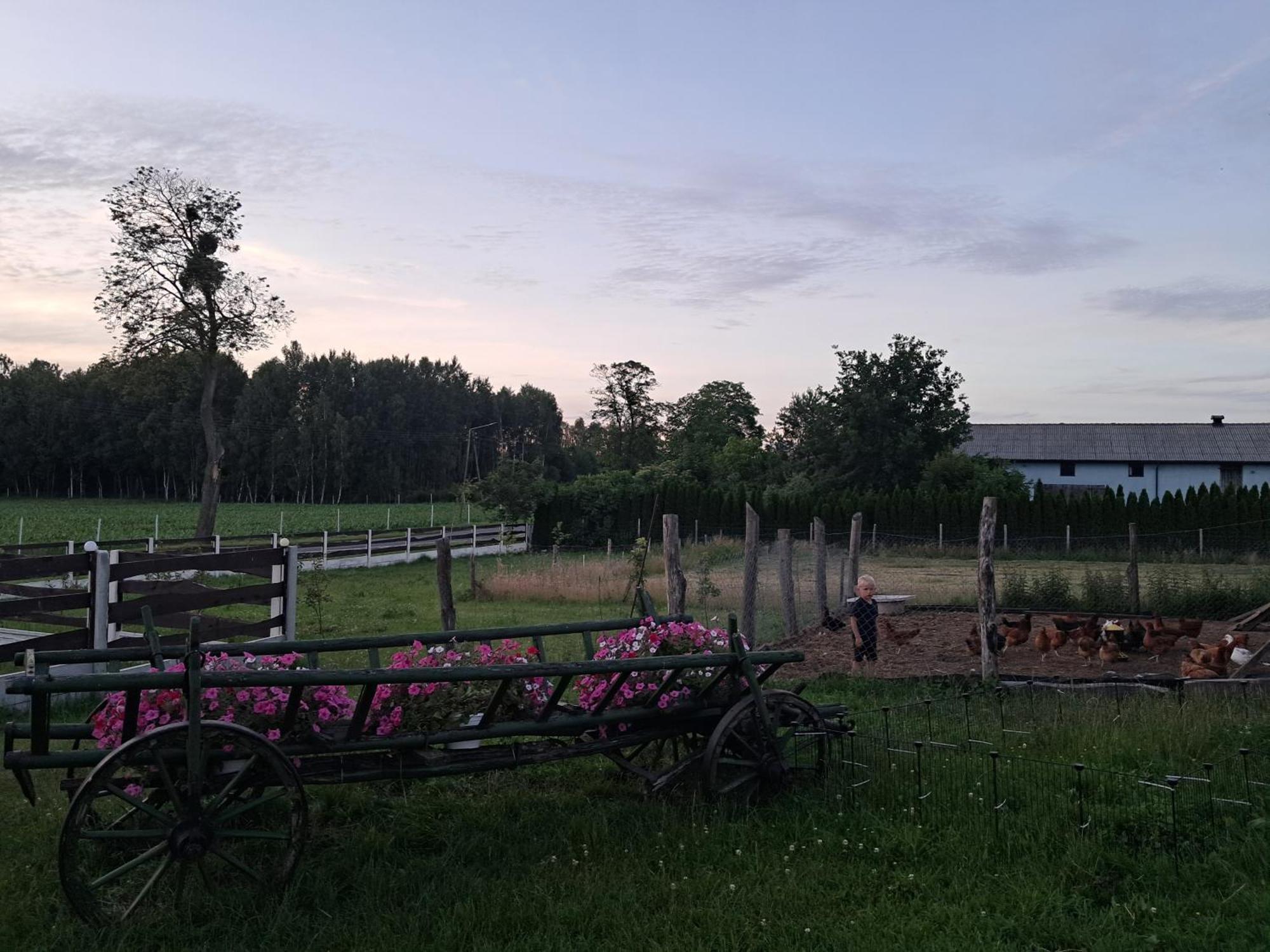 Agroturystyka Villa Emilla Pogodki Zewnętrze zdjęcie